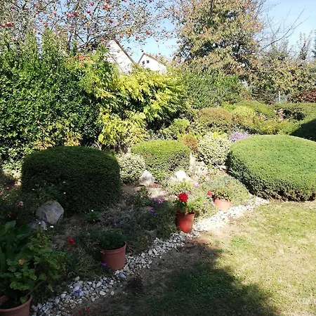 Apartmán In Zalakaros/thermalbad 20662